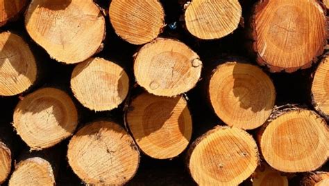 Wie Man Rustikales Natürliches Holz Säubert